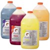 gatorade-1-gallon-liquid-concentrate-ff0853-lg