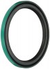 chi24880