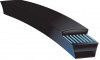 gatc225